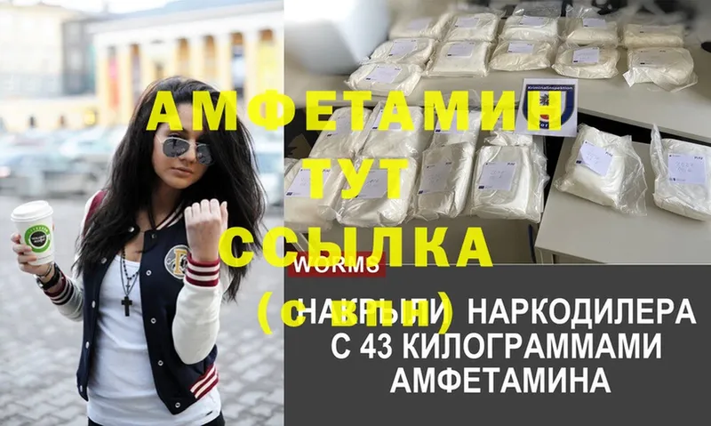 Amphetamine Premium  Гагарин 