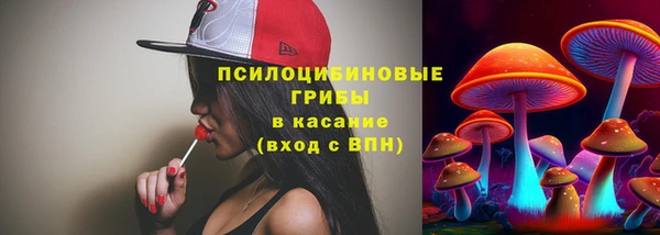 тгк Кукмор