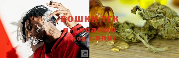 тгк Кукмор