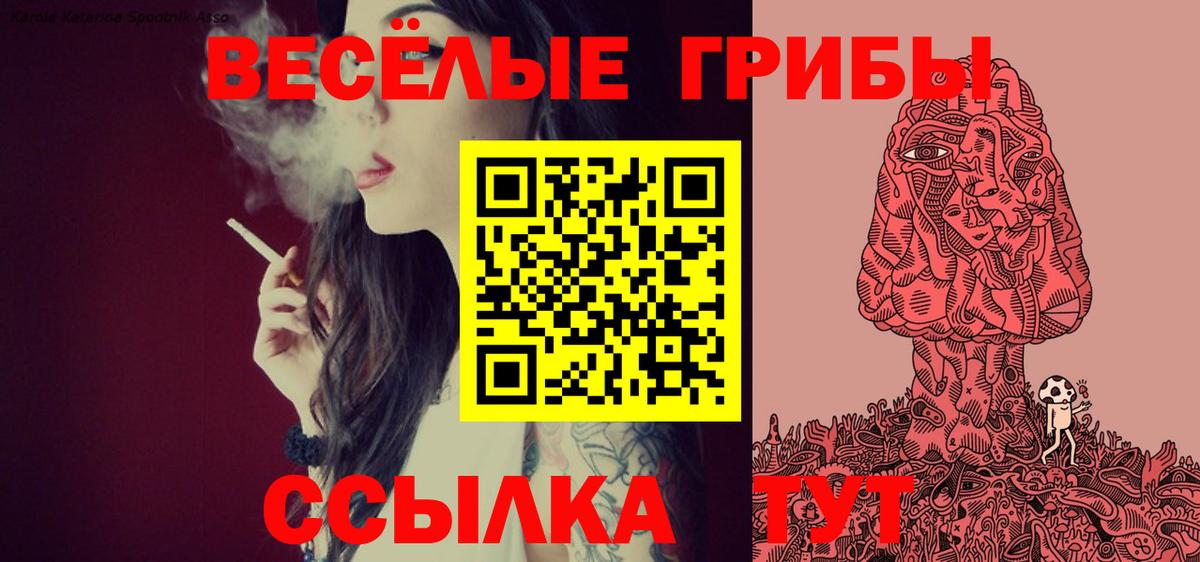 наркота  Псилоцибиновые грибы GOLDEN TEACHER  Гагарин  Вход с VPN  Галлюциногенные грибы Cubensis 