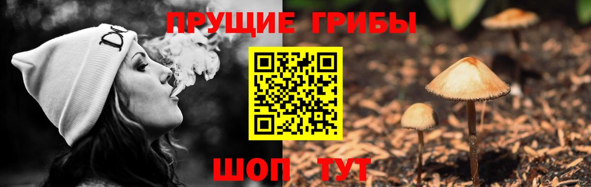Псилоцибиновые грибы Psilocybe Гагарин