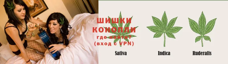 Бошки Шишки White Widow  Гагарин 